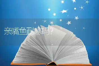 亲嘴鱼耐寒吗？