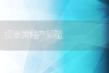 对虾空肠空胃偷死病防治技术