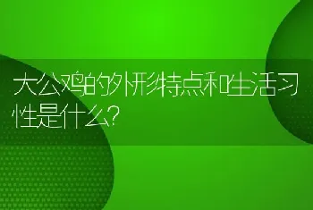 大公鸡的外形特点和生活习性是什么？