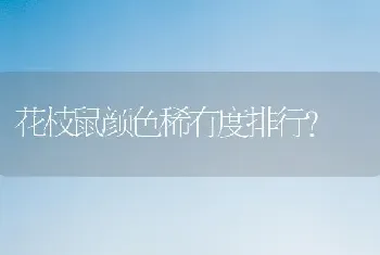 亚马逊大黄帽鹦鹉怎么样？