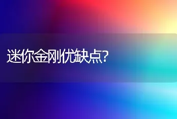 迷你金刚优缺点？