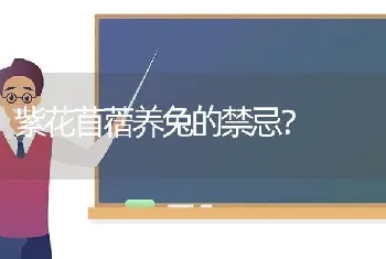 紫花苜蓿养兔的禁忌？