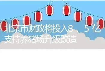 北京市财政将投入8.5亿支持养猪场升级改造