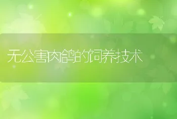 公猪无性欲、死精、无精预防措施