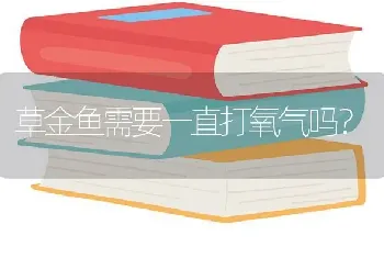 草金鱼需要一直打氧气吗？