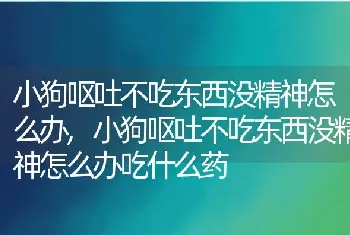 小狗呕吐不吃东西没精神怎么办，小狗呕吐不吃东西没精神怎么办吃什么药