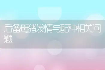 后备母猪发情与配种相关问题