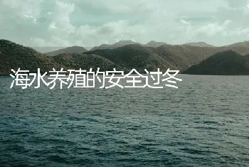 海水养殖的安全过冬