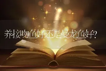 养接吻鱼好还是曼龙鱼好？