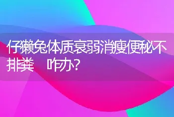 仔獭兔体质衰弱消瘦便秘不排粪 咋办？