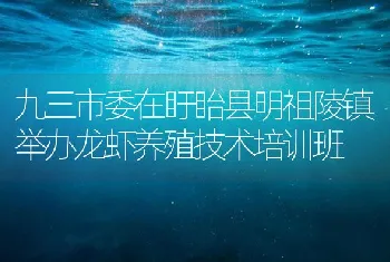 九三市委在盱眙县明祖陵镇举办龙虾养殖技术培训班