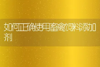 如何正确使用畜禽饲料添加剂