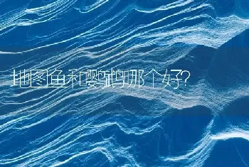 地图鱼和鹦鹉哪个好？