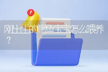 刚出生的鳄鱼宝宝怎么喂养？