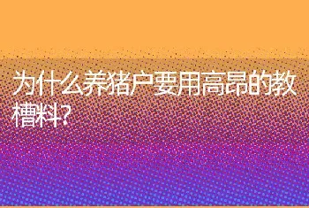 怎样学习养兔技术？