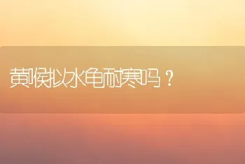 黄喉拟水龟耐寒吗？