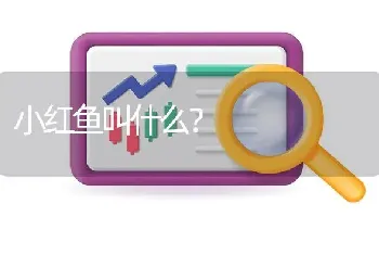 小红鱼叫什么？