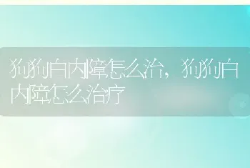 狗狗白内障怎么治，狗狗白内障怎么治疗