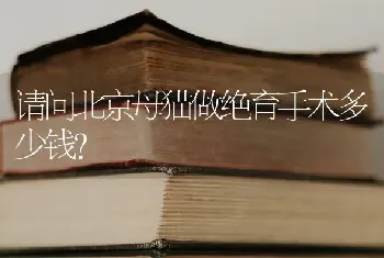 请问北京母猫做绝育手术多少钱？