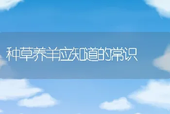 渔用牧草栽培、利用和增产技术