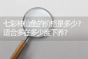 七彩神仙鱼的价格是多少？适合多在多少度下养？