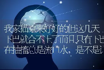 我家猫原来好好的但这几天下巴就合不上了而且只有下巴在抽搐总是流口水，是不是让人踢到脑袋或者下巴了？