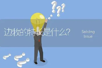 边牧的特长是什么？