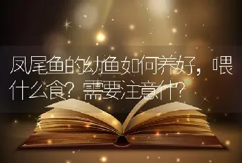 与君初相识洛洛扮演者为什么有斑？