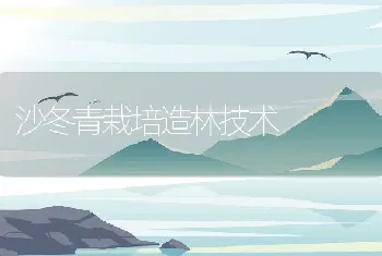 T字鱼