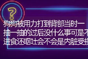 狗狗被用力打到背部当时一抽一抽的过后没什么事可是不进食还呕吐会不会是内脏受损？