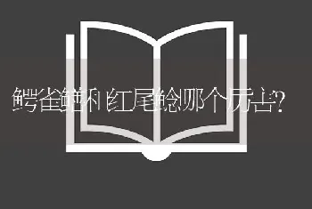 鳄雀鳝和红尾鲶哪个厉害？