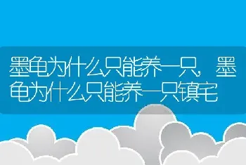 墨龟为什么只能养一只，墨龟为什么只能养一只镇宅