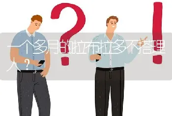 一个多月的拉布拉多不搭理人？