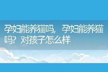 孕妇能养猫吗，孕妇能养猫吗？对孩子怎么样