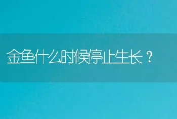 金鱼什么时候停止生长？