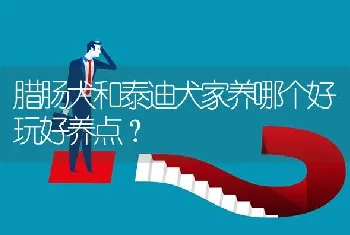 腊肠犬和泰迪犬家养哪个好玩好养点？