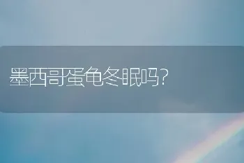 墨西哥蛋龟冬眠吗？