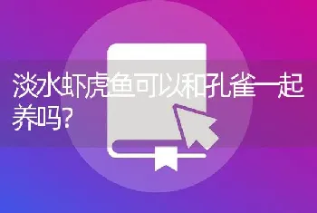 淡水虾虎鱼可以和孔雀一起养吗？