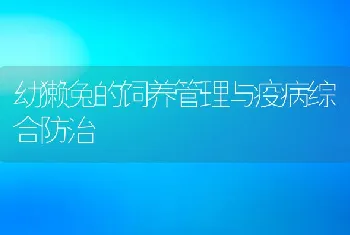 幼獭兔的饲养管理与疫病综合防治