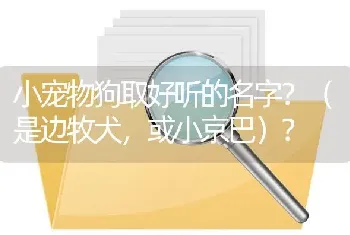 巨贵大还是金毛大？