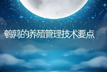 鹌鹑的养殖管理技术要点