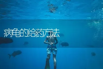 病龟的给药方法