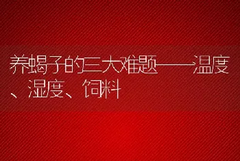 养蝎子的三大难题——温度、湿度、饲料