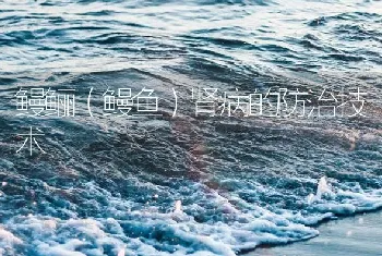 鳗鲡（鳗鱼）肾病的防治技术