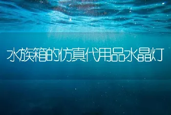 水族箱的仿真代用品水晶灯