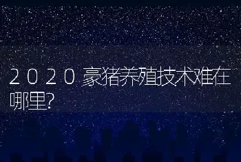 2020豪猪养殖技术难在哪里?