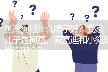 国产狗粮什么牌子好？我家儿子是柯基，麦富迪和小狗欢腾选哪个？