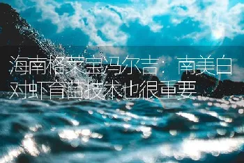 海南格莱宝冯尔吉：南美白对虾育苗技术也很重要