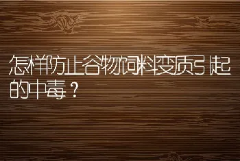 怎样防止谷物饲料变质引起的中毒？