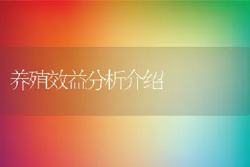 养殖效益分析介绍